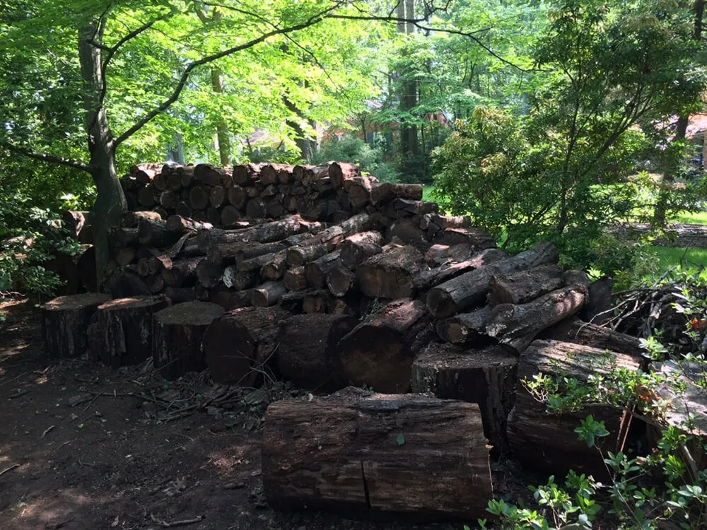 Custom residential landscaping in Falls Church, VA - Household Helping Hands