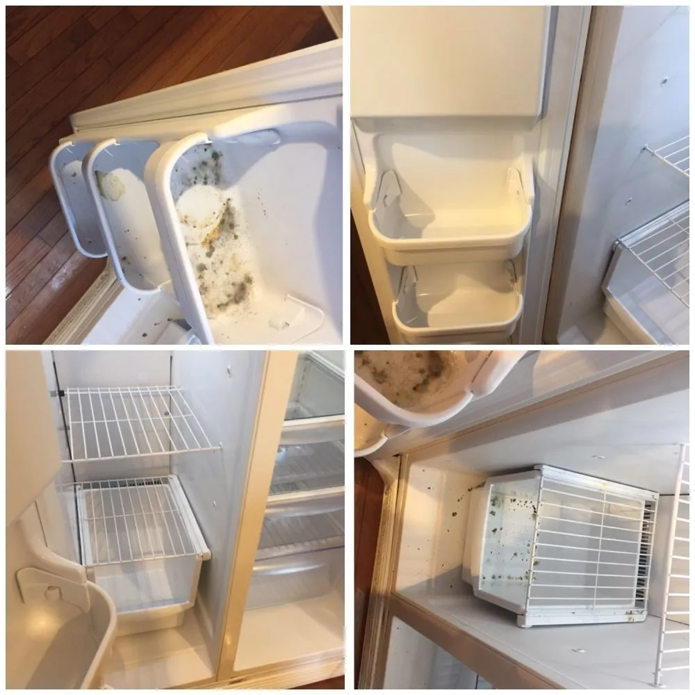 Affordable landscaping services experts serving Falls Church, VA - Household Helping Hands