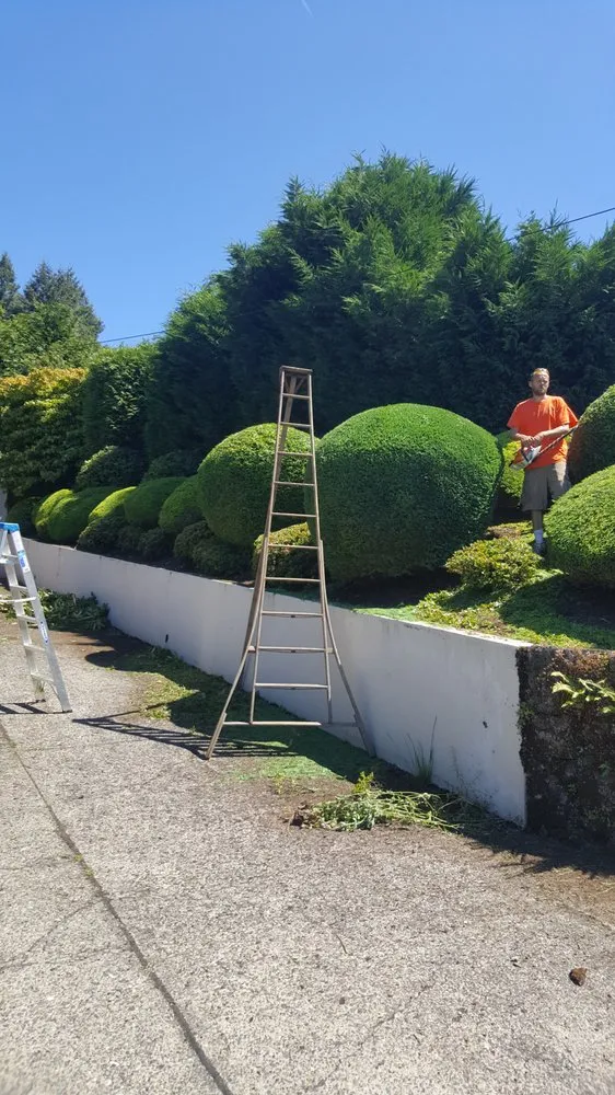 Reliable outdoor landscaping in Portland, OR - Householder Mowing Service