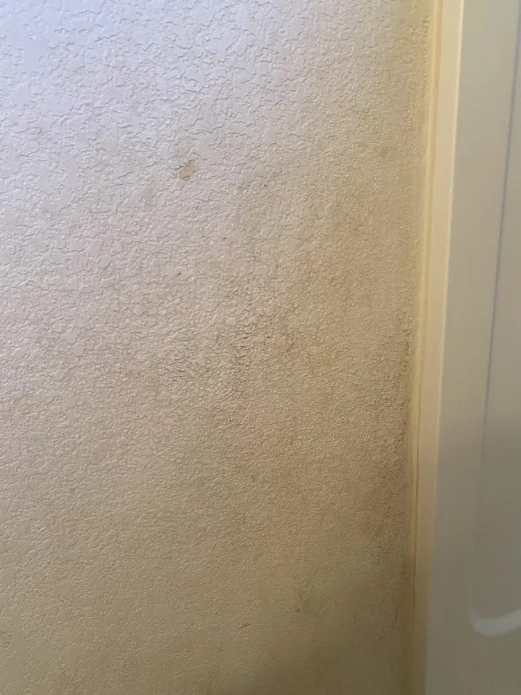 Top-rated garden landscaping experts serving Albuquerque, NM - Housekeeping And More