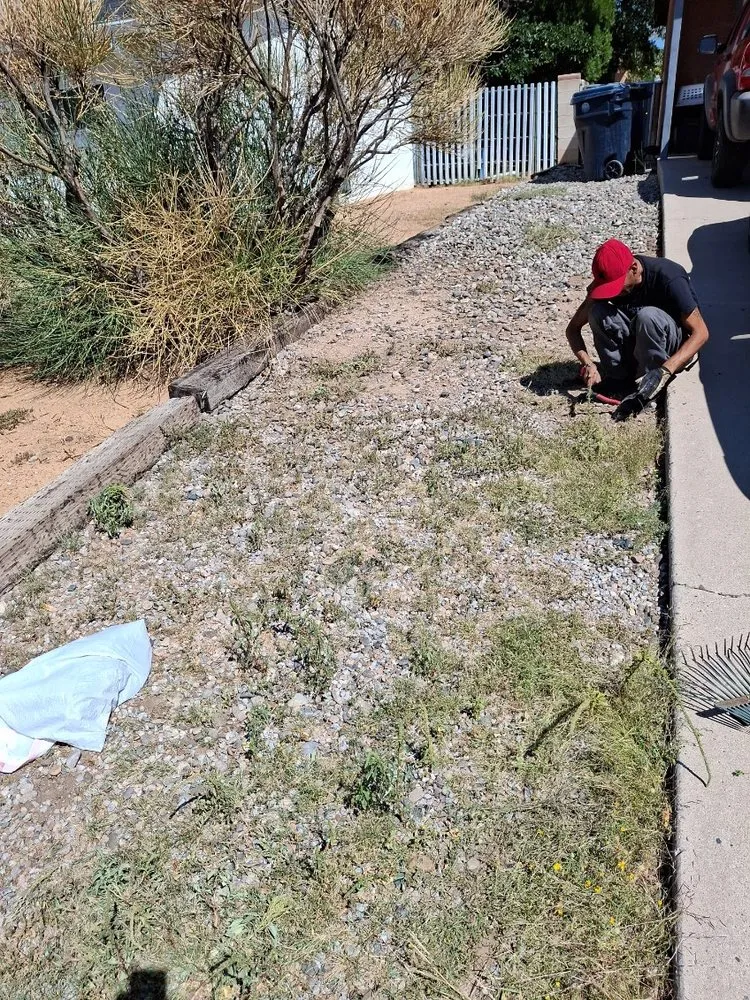 Professional outdoor landscaping in Albuquerque, NM by Housekeeping And More