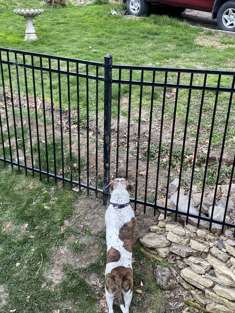 Custom outdoor landscaping experts serving Cumming, IA - Houseman’s Outdoor Solutions