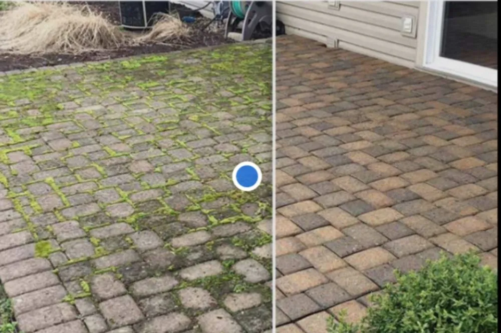 Top-rated yard maintenance experts serving MORRISTOWN, TN - House&Yard Maintenance