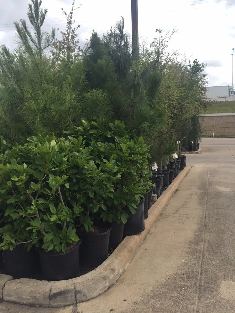 Custom residential landscaping for beautiful yards in Pasadena, TX by Houston Garden Centers