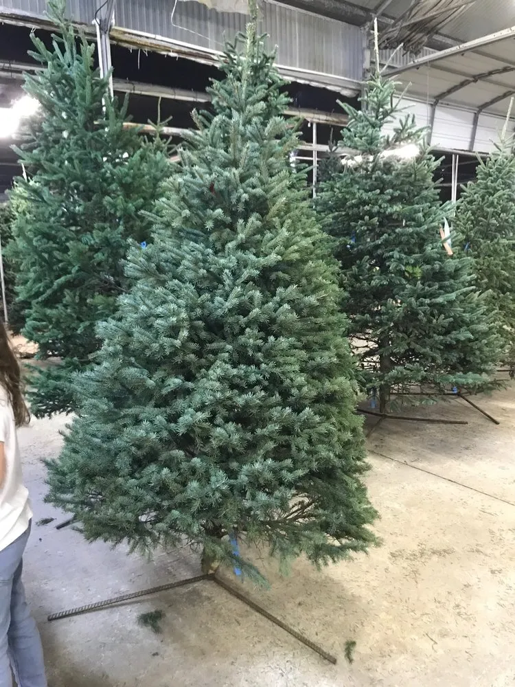 Affordable garden landscaping in Pasadena, TX by Houston Garden Centers