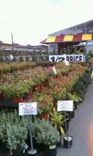 Affordable landscape design experts serving Pasadena, TX - Houston Garden Centers