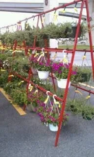 Local landscape design experts serving Pasadena, TX - Houston Garden Centers