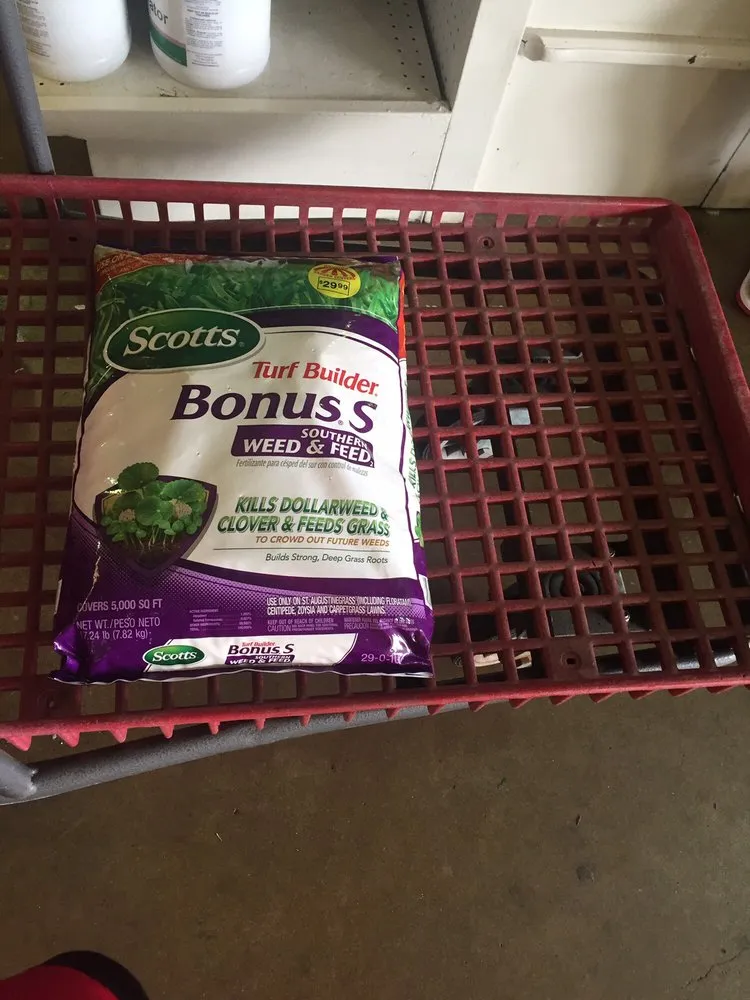 Professional outdoor landscaping in Pasadena, TX by Houston Garden Centers