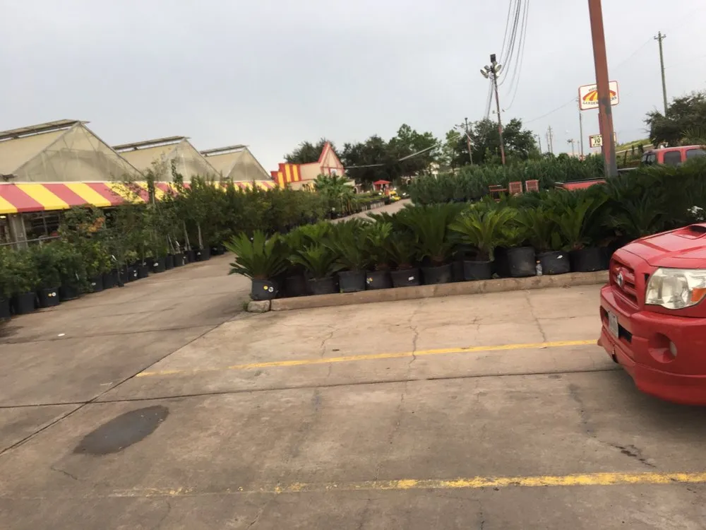 Custom lawn mowing service in Pasadena, TX by Houston Garden Centers