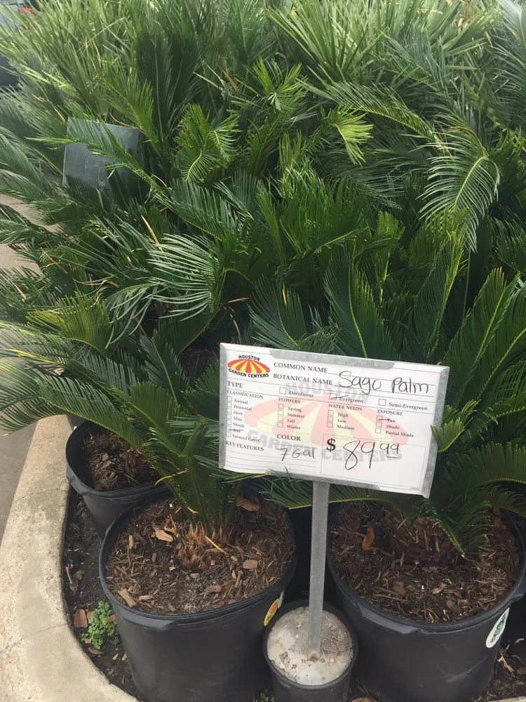 Local landscape installation experts serving Pasadena, TX - Houston Garden Centers