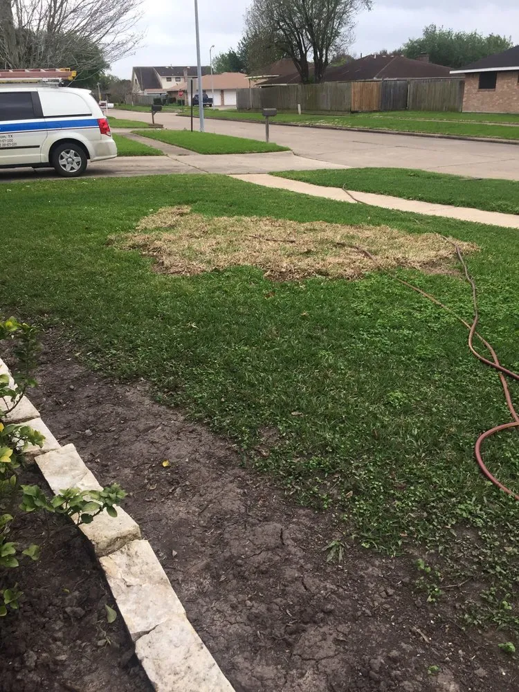 Trusted landscape installation with custom design in Pasadena, TX by Houston Garden Centers