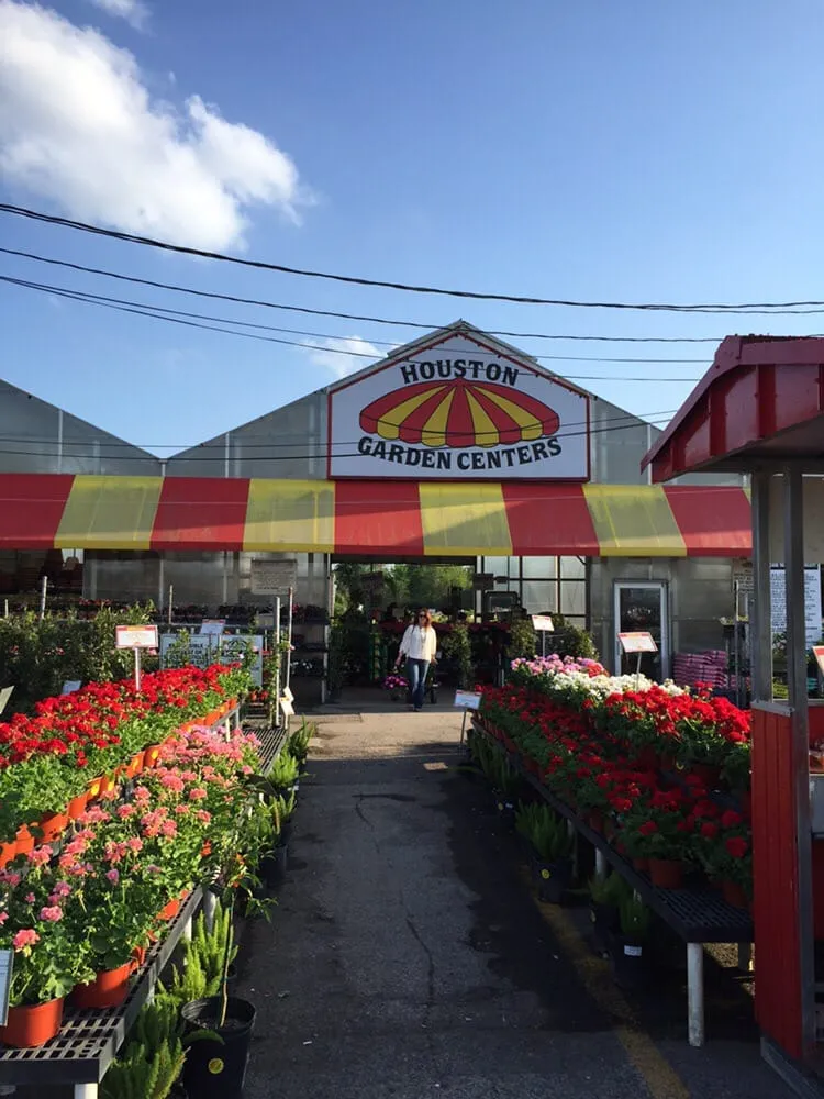 Local yard cleanup service for year-round maintenance across Humble, TX - Houston Garden