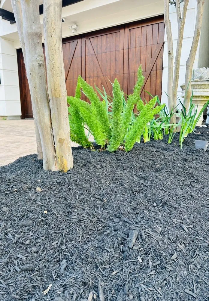 Expert yard maintenance in Houston, TX - Houston Heights Landscaping