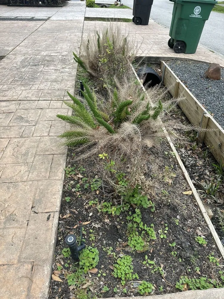 Professional landscape installation in Houston, TX by Houston Heights Landscaping