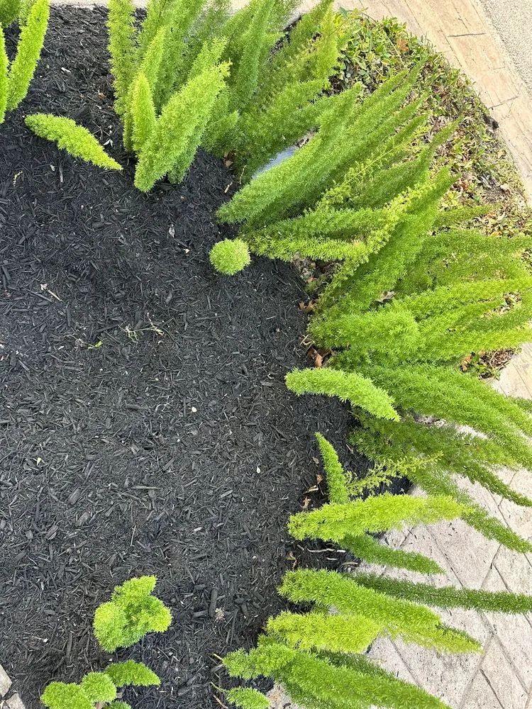 Local lawn mowing service in Houston, TX by Houston Heights Landscaping