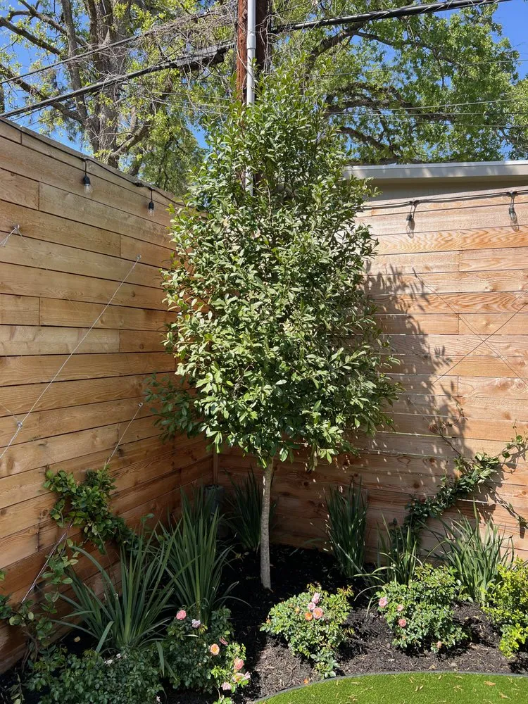 Expert outdoor landscaping for homes across Houston, TX - Houston Landscape Pros