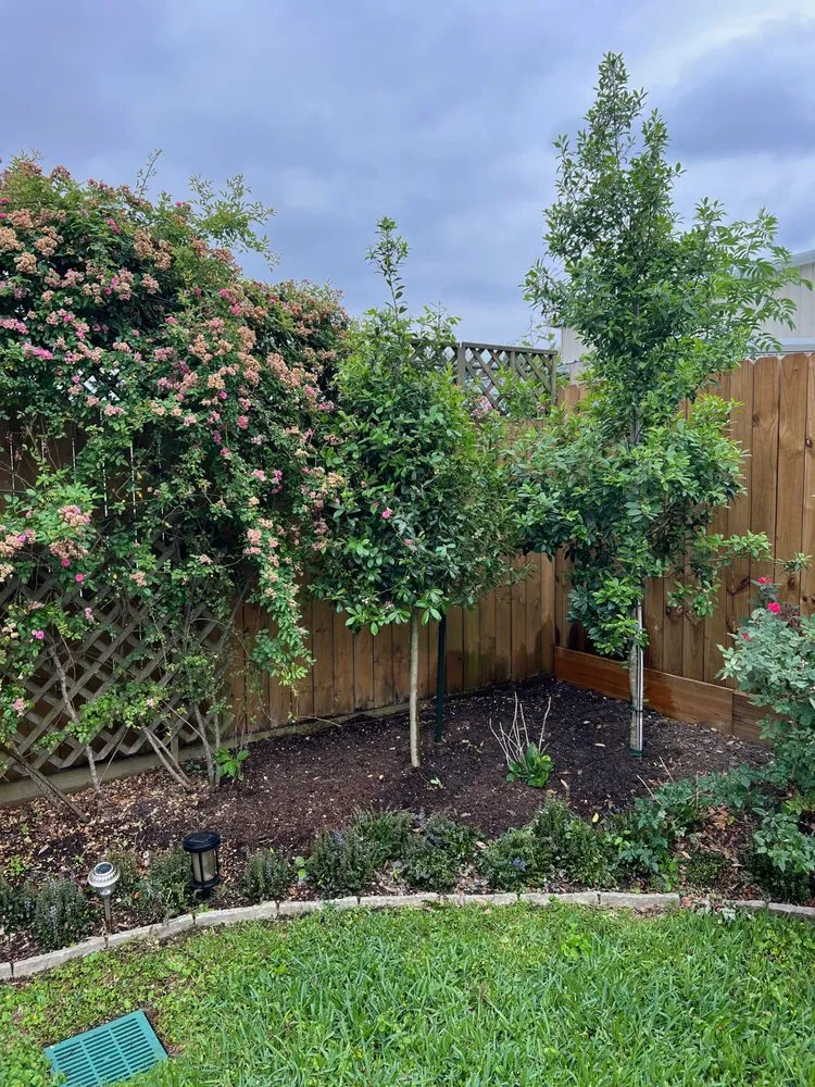 Reliable landscape design experts serving Houston, TX - Houston Landscape Pros