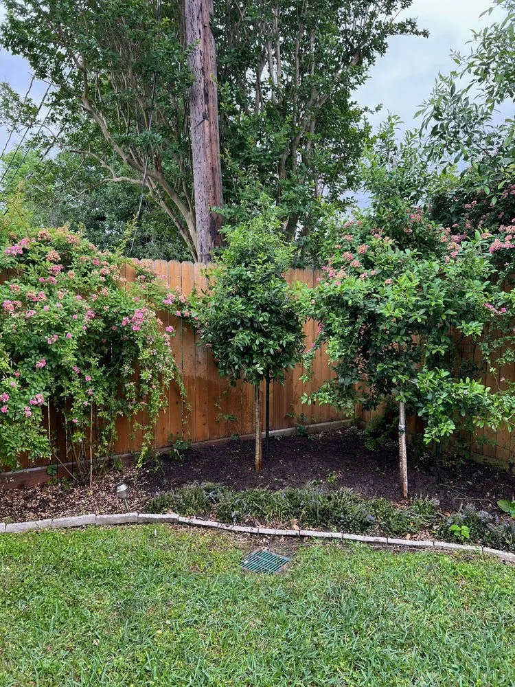 Reliable lawn mowing service near you in Houston, TX by Houston Landscape Pros