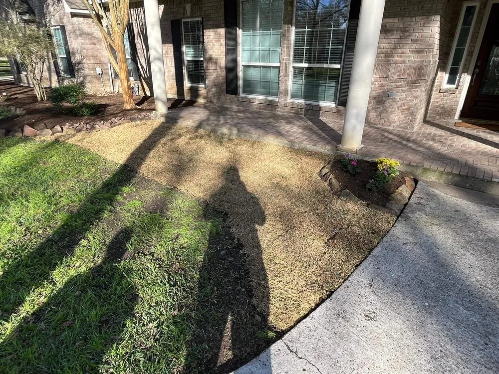 Reliable landscape installation for residential properties across Fresno, TX - Houston Lawn Care & Tree Service