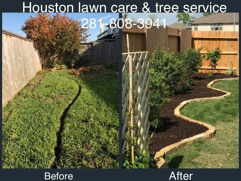 Trusted lawn care service experts serving Fresno, TX - Houston Lawn Care & Tree Service
