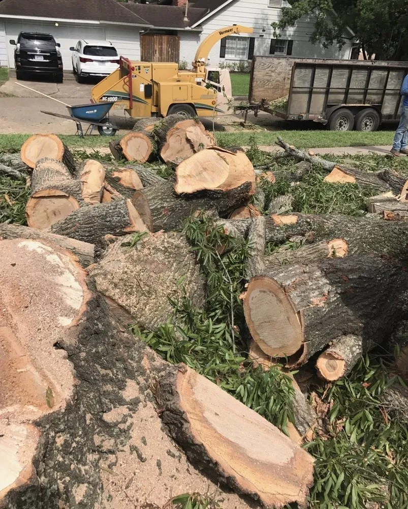 Reliable yard maintenance in Fresno, TX by Houston Lawn Care & Tree Service