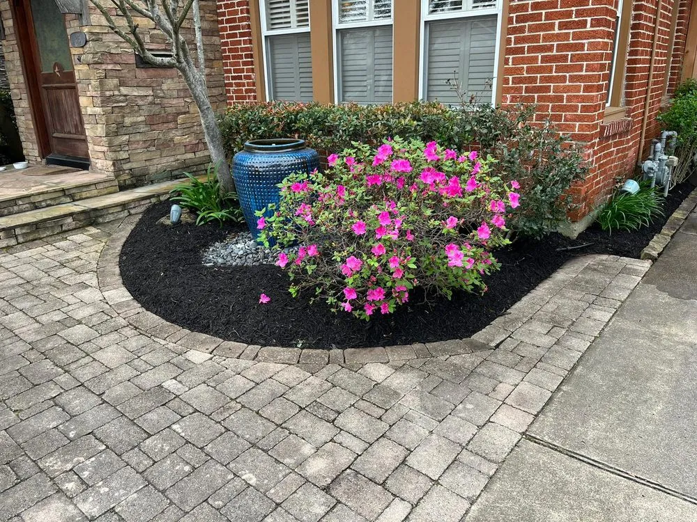 Affordable yard cleanup service experts serving Fresno, TX - Houston Lawn Care & Tree Service