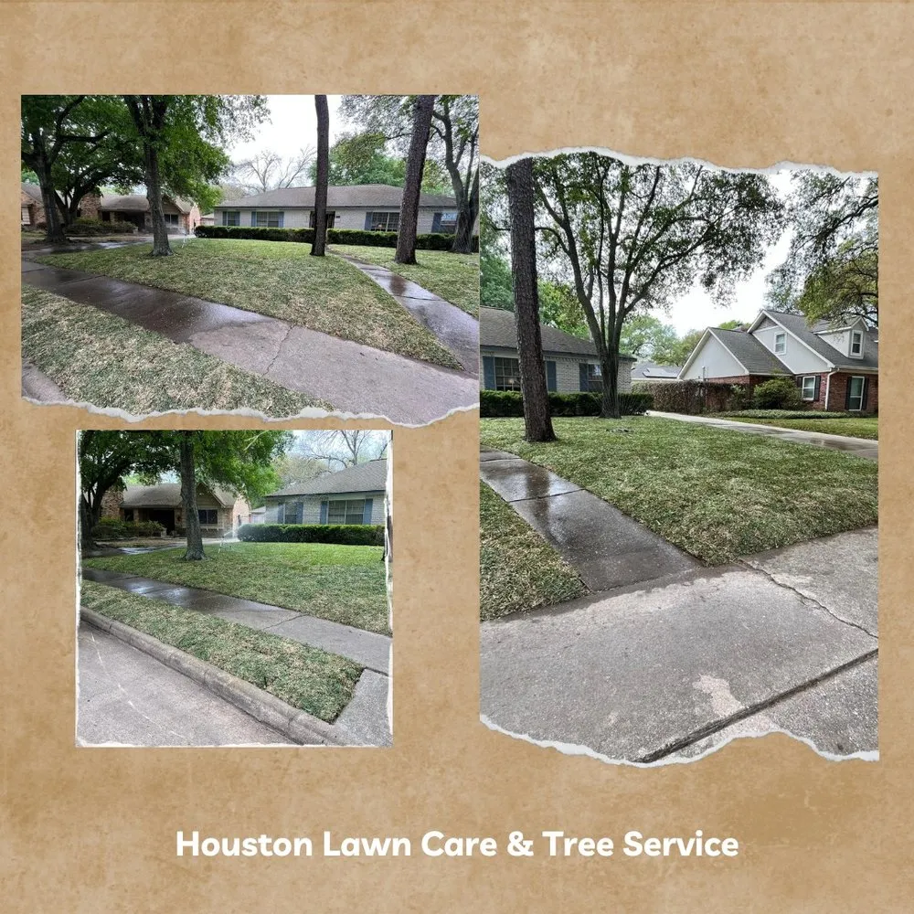 Custom yard maintenance experts serving Fresno, TX - Houston Lawn Care & Tree Service