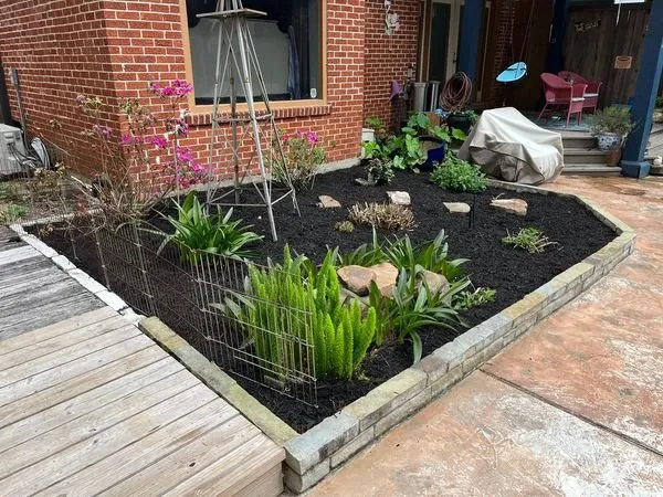 Local residential landscaping in Fresno, TX - Houston Lawn Care & Tree Service