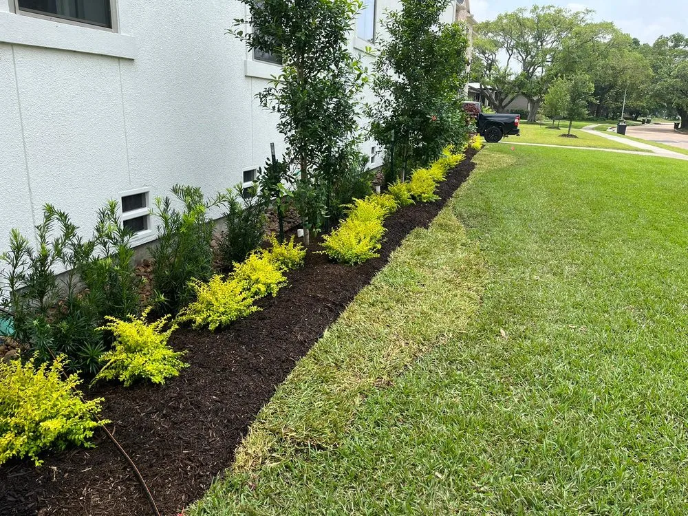 Top-rated lawn care service for homes across Fresno, TX - Houston Lawn Care & Tree Service