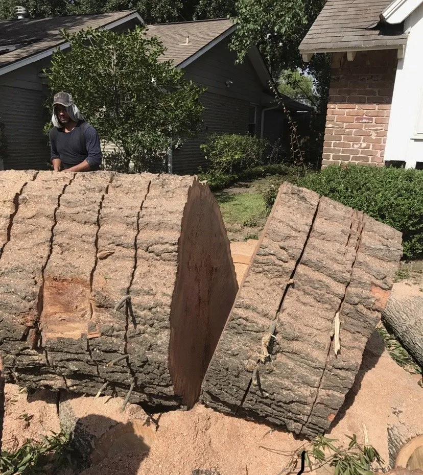 Local garden landscaping in Fresno, TX by Houston Lawn Care & Tree Service