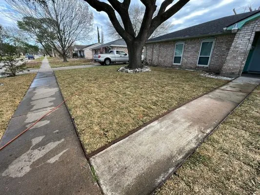 Houston Lawn Care & Tree Service