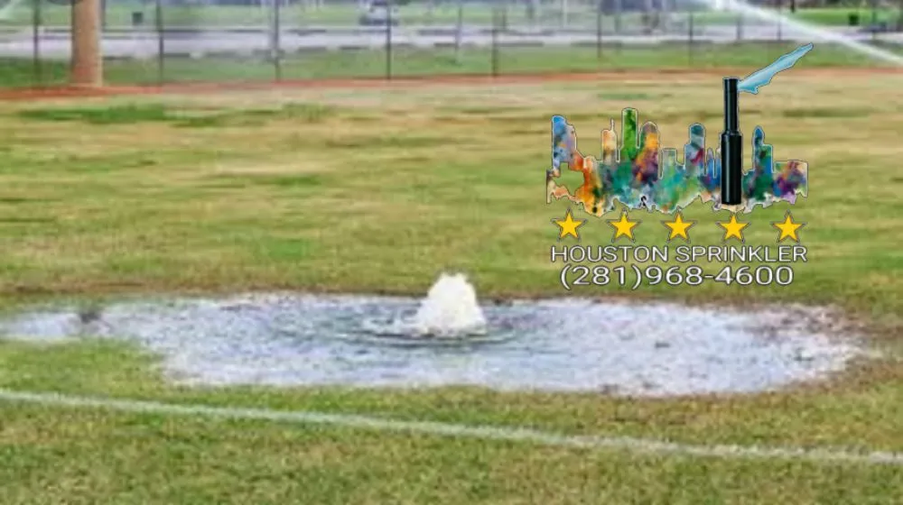 Trusted yard cleanup service with custom design across Houston, TX - Houston Sprinkler