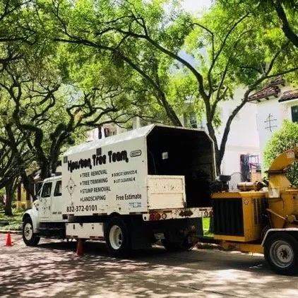 Local landscaping services in Houston, TX by Houston Tree Team
