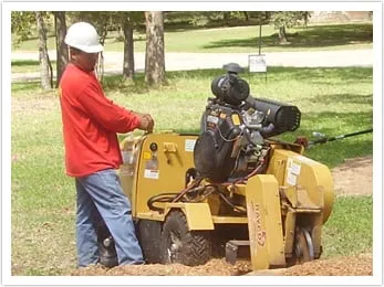 Expert lawn care service experts serving Houston, TX - Houston Tree Team