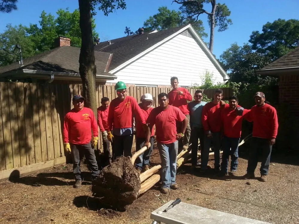 Expert landscaping services in Houston, TX - Houston Tree Team