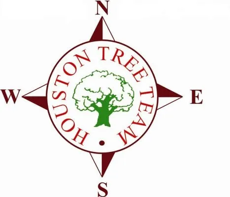 Reliable outdoor landscaping in Houston, TX by Houston Tree Team