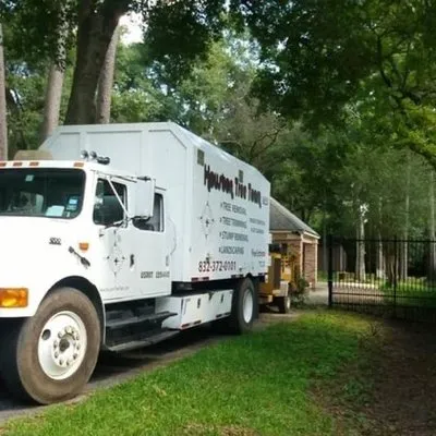 Houston Tree Team Logo