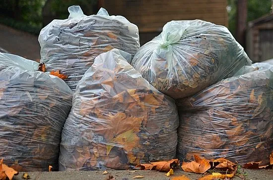 Local yard maintenance in Houston, TX by Houston Yard Guys