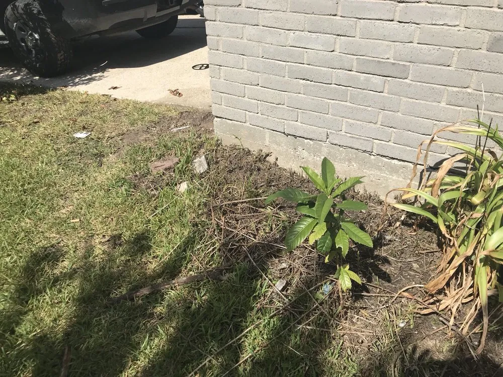 Affordable landscaping services near you in Houston, TX by Houston Yard Guys