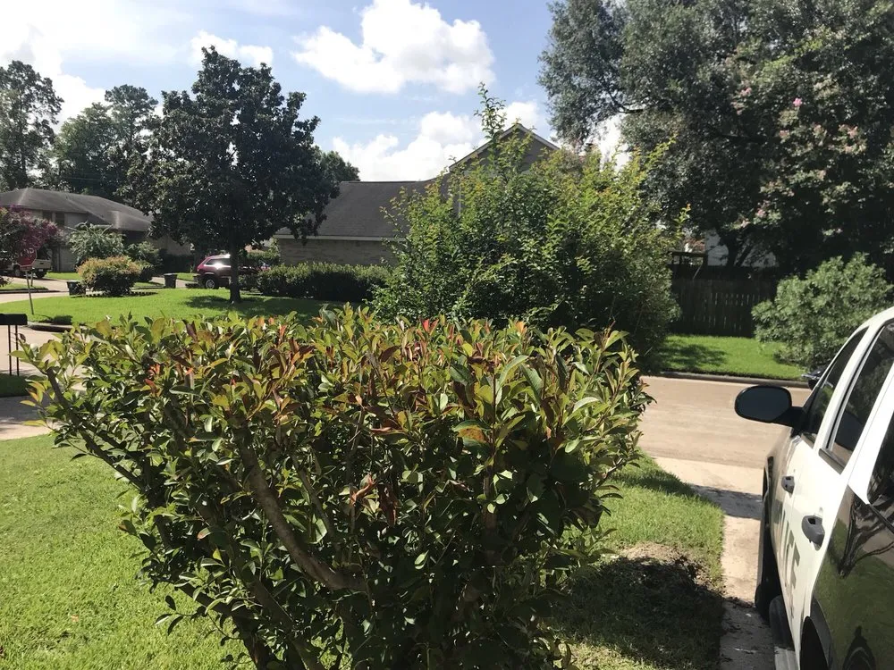 Trusted outdoor landscaping experts serving Houston, TX - Houston Yard Guys