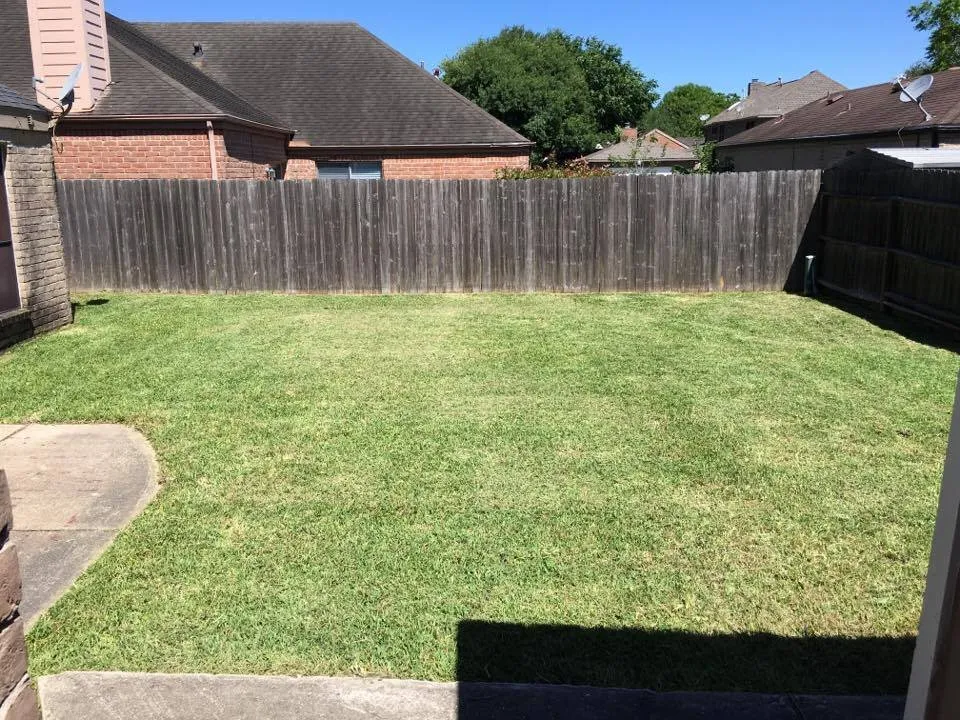 Trusted landscape design for year-round maintenance across Houston, TX - Houston Yard Guys