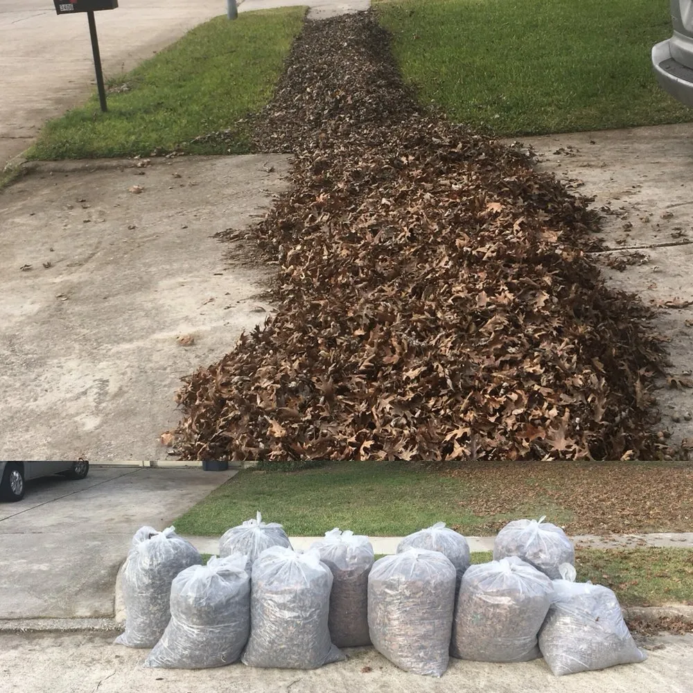 Professional landscape installation in Houston, TX - Houston Yard Guys