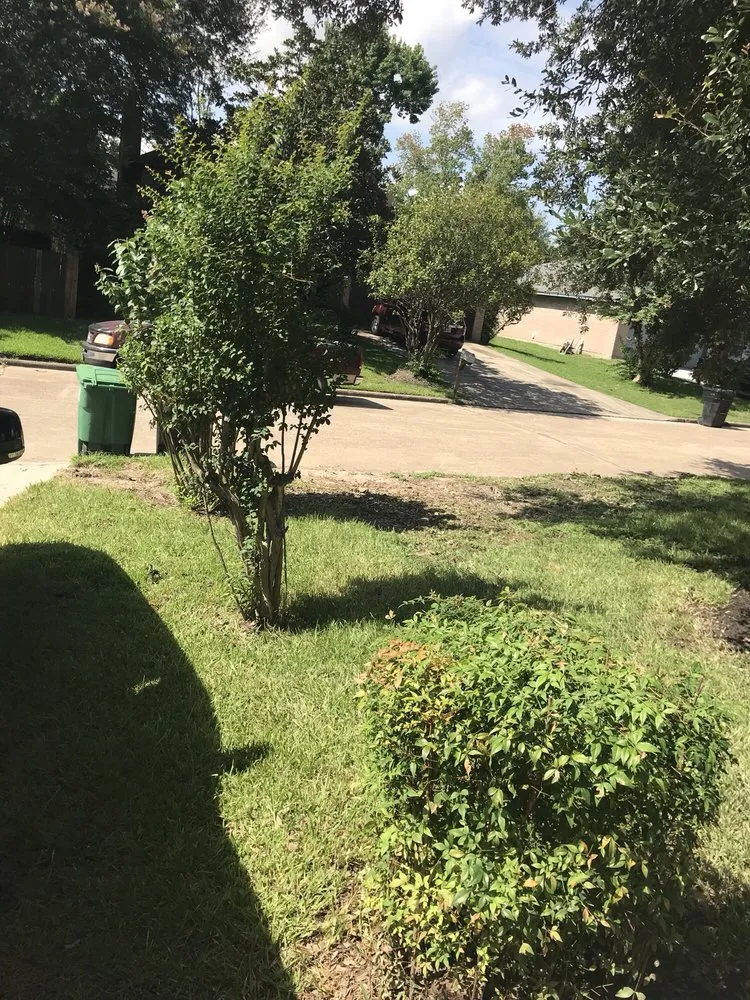 Affordable outdoor landscaping with custom design across Houston, TX - Houston Yard Guys