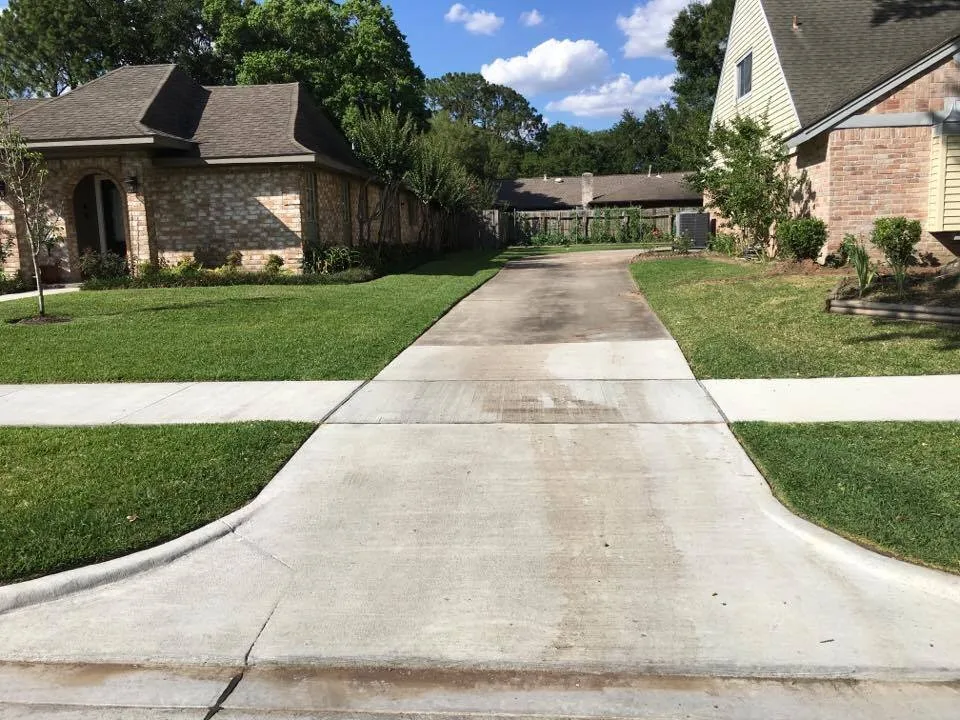 Professional yard cleanup service experts serving Houston, TX - Houston Yard Guys