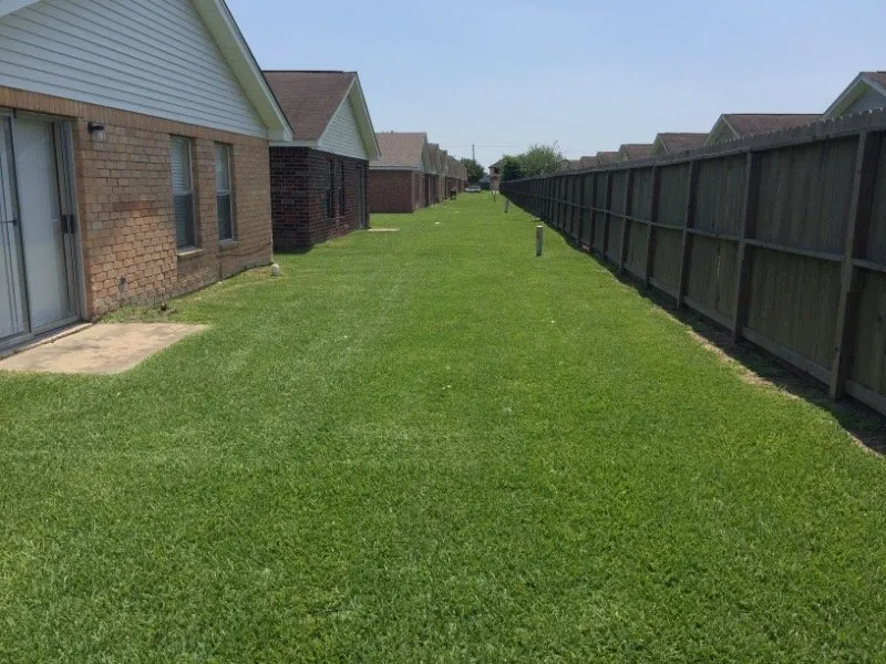 Affordable landscape installation experts serving Houston, TX - Houston Yard Guys