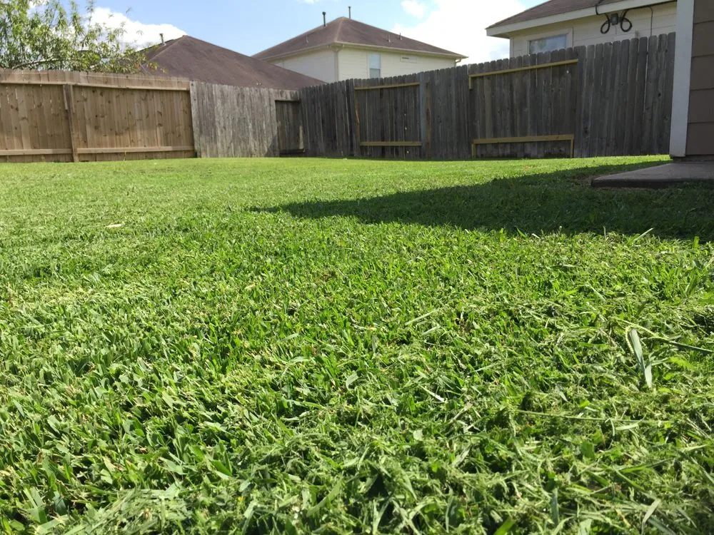 Affordable lawn care service experts serving Houston, TX - Houston Yard Guys