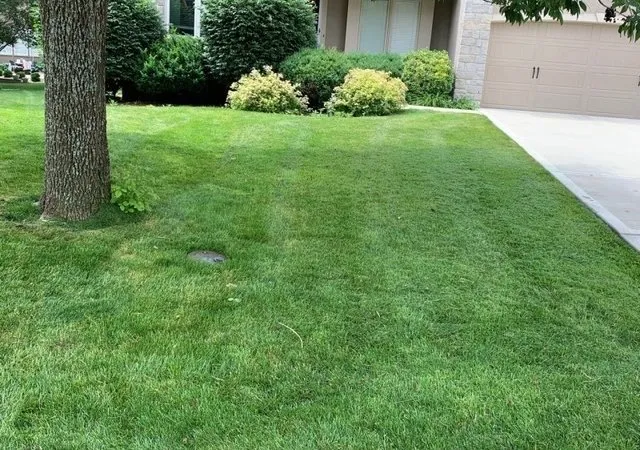 Top-rated residential landscaping in Deer Park, TX - Houstonians Lawncare & Property Maintenance