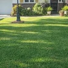 Local yard cleanup service in Deer Park, TX by Houstonians Lawncare & Property Maintenance