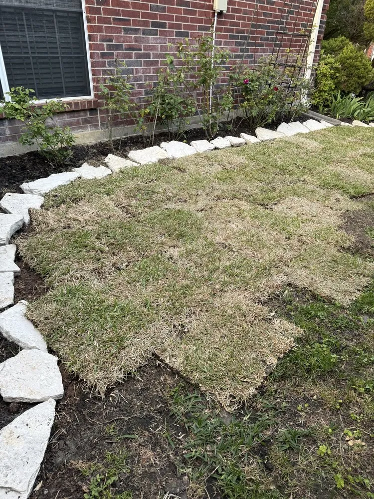 Reliable yard cleanup service experts serving Houston, TX - Houstons Grass Supplier