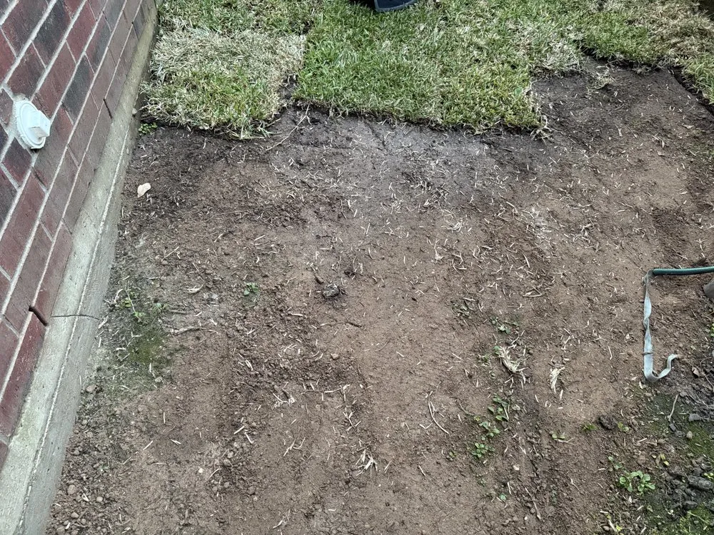 Local outdoor landscaping experts serving Houston, TX - Houstons Grass Supplier